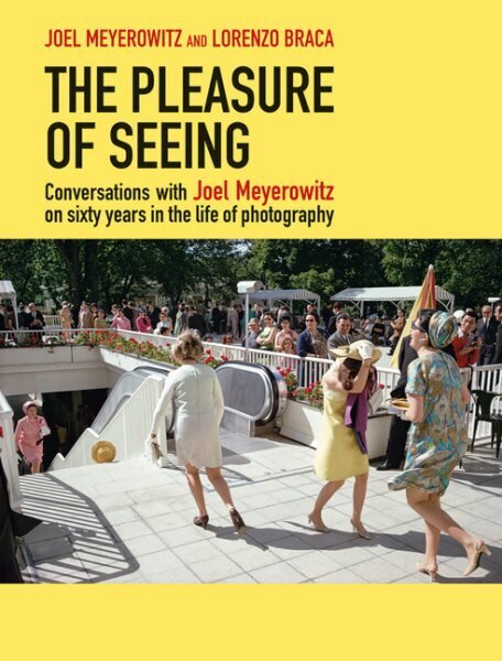 Pleasure of Seeing: Conversations on Joel Meyerowitz's sixty years in the life of photography cena un informācija | Grāmatas par fotografēšanu | 220.lv