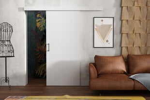 Раздвижная дверь для ниши Brent Lucas 80, белый цвет цена и информация | Шкафы | 220.lv