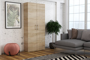 Шкаф Brent Harov, коричневый цвет цена и информация | Шкафы | 220.lv