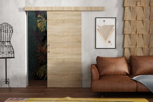 Раздвижная дверь для ниши Brent Lucas 90, коричневый цвет цена и информация | Шкафы | 220.lv
