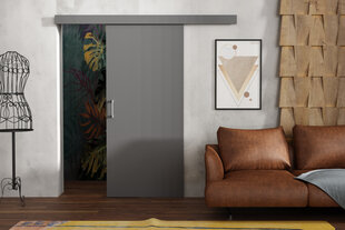 Раздвижная дверь для ниши Brent Lucas 80, серый цвет цена и информация | Шкафы | 220.lv