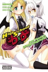 High School DxD: Asia & Koneko's Secret Contract!? цена и информация | Фантастика, фэнтези | 220.lv