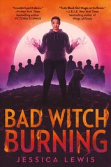 Bad Witch Burning цена и информация | Книги для подростков и молодежи | 220.lv