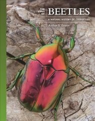 Lives of Beetles: A Natural History of Coleoptera cena un informācija | Ekonomikas grāmatas | 220.lv