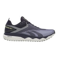 Sieviešu sporta apavi Reebok Floatride Run Panthea S6432315 цена и информация | Спортивная обувь для женщин | 220.lv