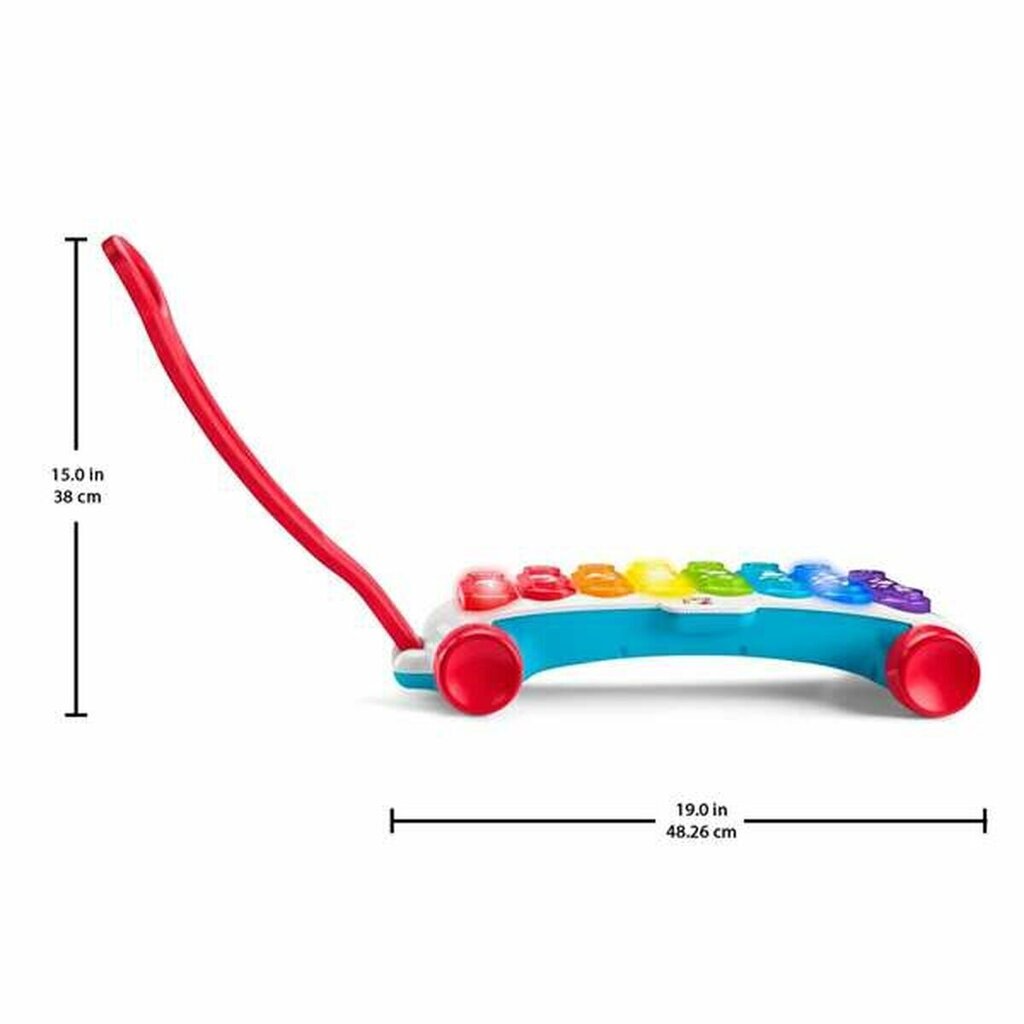 Muzikālā rotaļlieta Fisher Price Ksilofons cena un informācija | Rotaļlietas zīdaiņiem | 220.lv