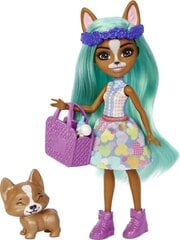 Кукла Enchantimals Baby Best Friends HLK86 цена и информация | Игрушки для девочек | 220.lv
