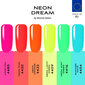 Gela nagu laku komplekts Sincero Salon Neon Dream, 6 gab. x 6 ml cena un informācija | Nagu lakas, stiprinātāji | 220.lv