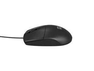 Mouse Ruff 2 1000 DPI black цена и информация | Мыши | 220.lv