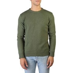 Džemperis vīriešiem 100% Cashmere 366325, zaļš цена и информация | Мужские свитера | 220.lv