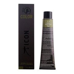 Noturīga Krāsa Ecotech Color I.c.o.n. cena un informācija | Matu krāsas | 220.lv