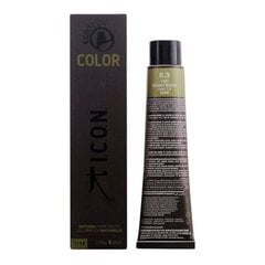 Перманентная краска Ecotech Color I.c.o.n. цена и информация | Краска для волос | 220.lv