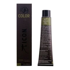 Noturīga Krāsa Ecotech Color I.c.o.n. (60 ml) cena un informācija | Matu krāsas | 220.lv