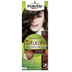 Noturīga Krāsa Palette Natural Schwarzkopf cena un informācija | Matu krāsas | 220.lv