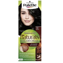 Noturīga Krāsa Palette Natural Schwarzkopf cena un informācija | Matu krāsas | 220.lv