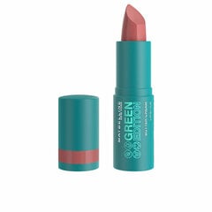 Mitrinoša lūpu krāsa Maybelline Green Edition 015-windy (10 g) cena un informācija | Lūpu krāsas, balzāmi, spīdumi, vazelīns | 220.lv