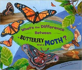 Is It a Butterfly or a Moth? цена и информация | Книги для подростков и молодежи | 220.lv