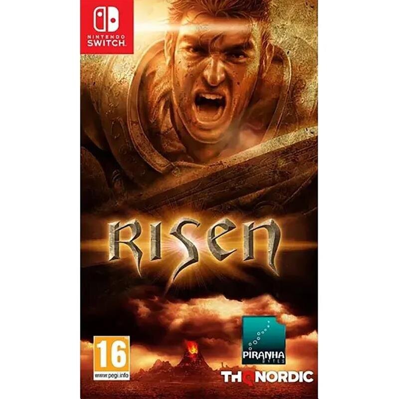 Risen Nintendo Switch/Lite cena un informācija | Datorspēles | 220.lv