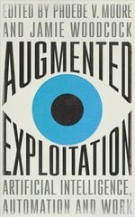 Augmented Exploitation: Artificial Intelligence, Automation and Work цена и информация | Книги по экономике | 220.lv