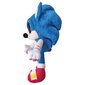 Sonic the Hedgehog mīkstā rotaļlieta, Sonic Exe, 30 cm cena un informācija | Mīkstās (plīša) rotaļlietas | 220.lv