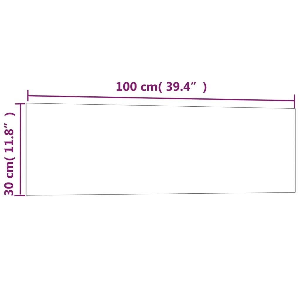 vidaXL magnētiskā tāfele, stiprināma pie sienas, melna, 100x30 cm цена и информация | Kancelejas preces | 220.lv