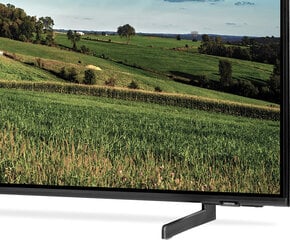 Samsung QE43Q65BAUXXN цена и информация | Телевизоры | 220.lv