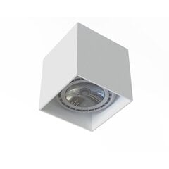 Nowodvorski Lighting griestu lampa Cobble цена и информация | Потолочные светильники | 220.lv