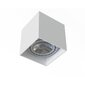 Nowodvorski Lighting griestu lampa Cobble цена и информация | Griestu lampas | 220.lv