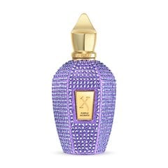 Парфюмерия унисекс Xerjoff EDP V Purple Accento (100 ml) цена и информация | Женские духи Lovely Me, 50 мл | 220.lv