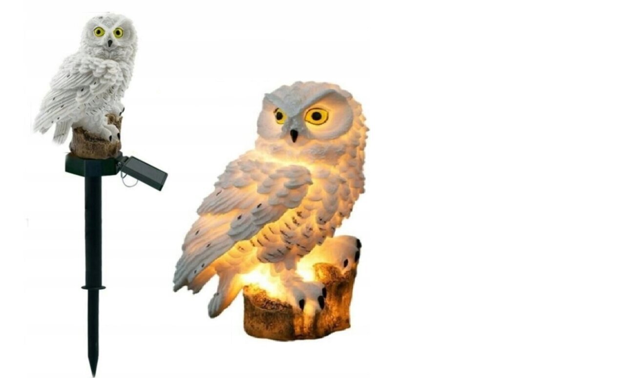 Dārza LED lampa Owl цена и информация | Āra apgaismojums | 220.lv