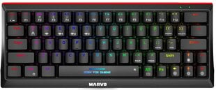 Marvo KG980B TKL 60% беспроводной механическая клавиатура с подсветкой RGB (US, Blue switch) цена и информация | Клавиатуры | 220.lv