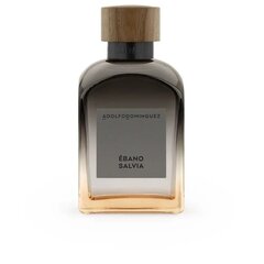 Parfimērijas ūdens Adolfo Dominguez Ébano Salvia EDP vīriešiem (120 ml) cena un informācija | Vīriešu smaržas | 220.lv