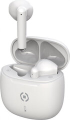 Bluetooth-наушники с микрофоном Celly BUZ2 Белый цена и информация | Наушники | 220.lv