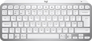 Клавиатура Logitech MX Keys Mini Azerty французский цена и информация | Клавиатуры | 220.lv