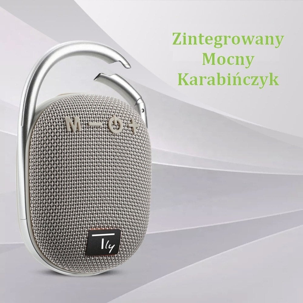 Bluetooth 5.3 skaļrunis bezvadu Techly 5 W TWS LED USB/TF MP3 цена и информация | Skaļruņi | 220.lv