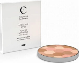Kompaktais pūderis Couleur Caramel Caramel N232 Teint Clair цена и информация | Пудры, базы под макияж | 220.lv