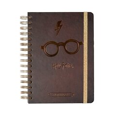 Harry Potter cena un informācija | Datorspēļu suvenīri | 220.lv