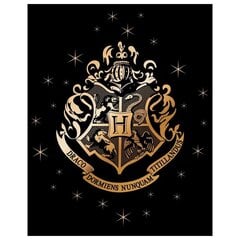 Флисовое одеяло Гарри Поттера цена и информация | Одеяла | 220.lv