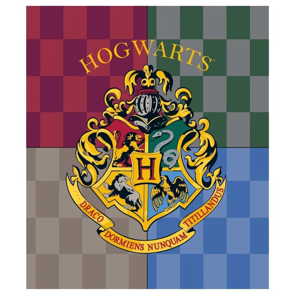 Harry Potter sega, 120x150 cm cena un informācija | Segas | 220.lv