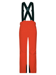 Детские горнолыжные штаны Ziener Arisu JR 227913-421-176 цена и информация | Зимняя одежда для детей | 220.lv