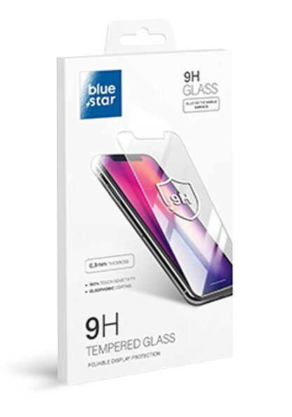 Aizsargstikls Blue star - iPhone 14 Pro цена и информация | Ekrāna aizsargstikli | 220.lv