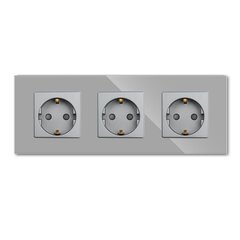 Тройная розетка со стеклянной рамкой, серая цена и информация | Электрические выключатели, розетки | 220.lv