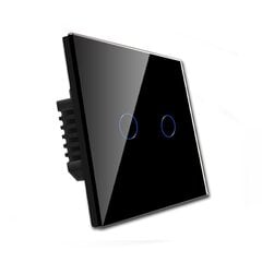 Двухполюсный сенсорный выключатель 500 Вт, черный цвет цена и информация | Электрические выключатели, розетки | 220.lv