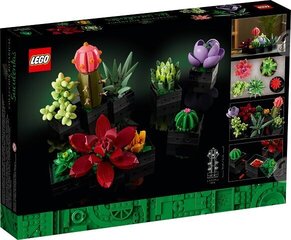 LEGO Icons Суккуленты 10309 цена и информация | Конструкторы и кубики | 220.lv