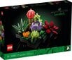 Konstruktors LEGO® sukulenti цена и информация | Konstruktori | 220.lv