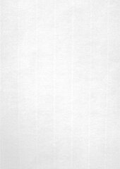 бумага Apli Белый текстурированный A4 100 Листья цена и информация | Канцелярия | 220.lv