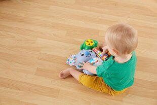 Музыкальная образовательная игрушка для детей с 9 месяцев Fisher -price GRG67 -Bilinki's Koala цена и информация | Игрушки для малышей | 220.lv