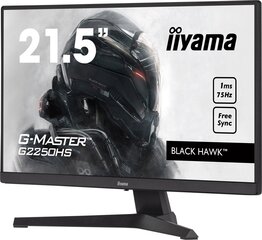 Monitors Iiyama G2250HS-B1 цена и информация | Мониторы | 220.lv