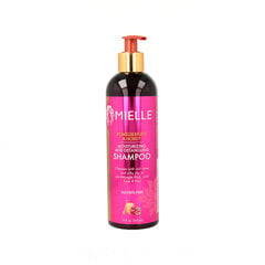 Šampūns Mielle Pomegranate &amp; Honey Moisturizing & Detangling (355 ml) cena un informācija | Šampūni | 220.lv