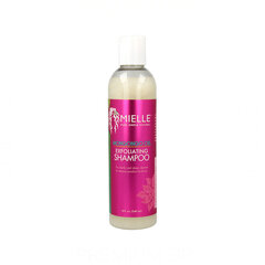 Šampūns Mielle Mongongo Oil Eksfoliants (240 ml) cena un informācija | Šampūni | 220.lv
